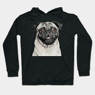 Pug Drawing Hoodie